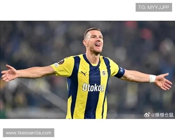 迪马尔科为哲科庆祝波黑胜感遗憾